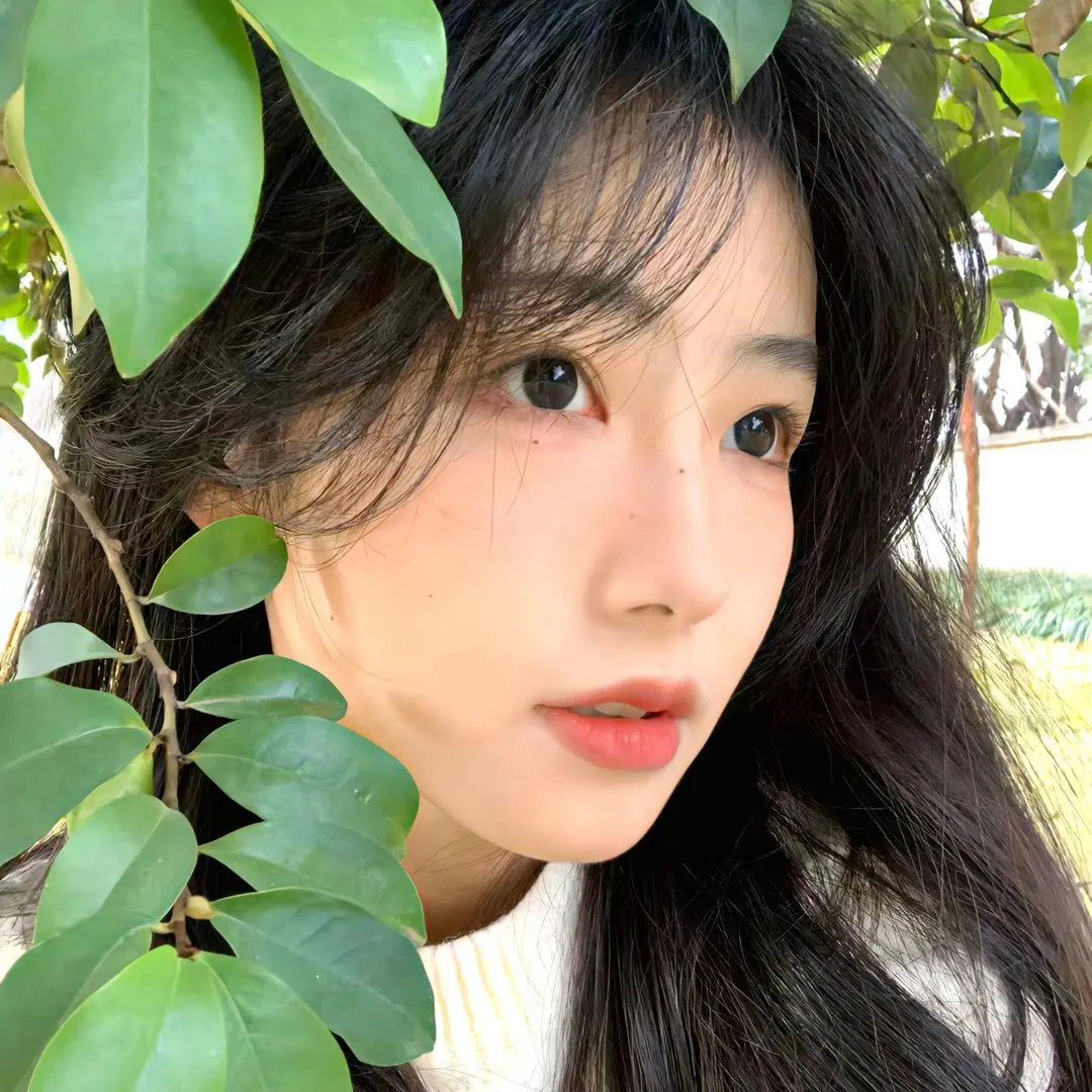 看鸟人